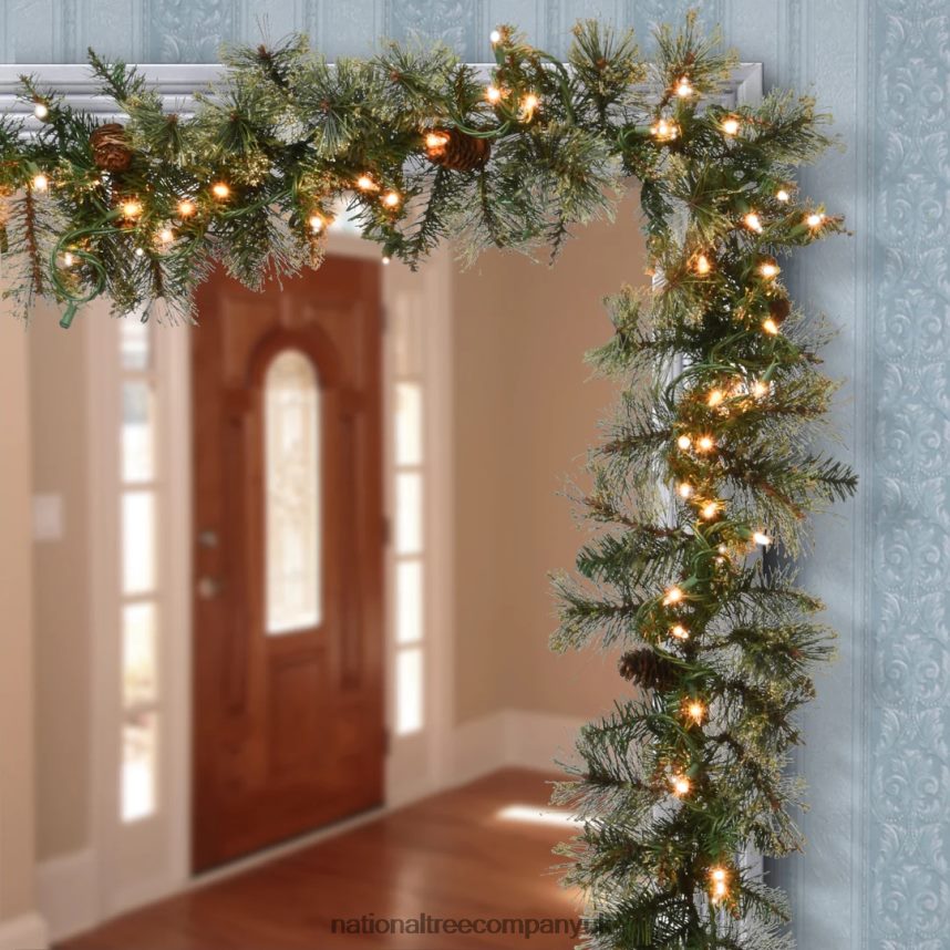 Greenery | National Tree Company Pre-Lit Artificial Christmas Garland Green Golden Bristle White Lights Decorated With Pine Cones Plug In Christmas Collection 9 Feet F2L4F406